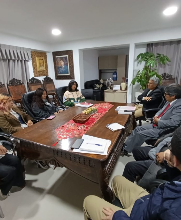 AVANCE DE PROCESO DE LICENCIAMIENTO Y OTROS TEMAS SON INFORMADOS A ESTUDIANTES POR COMISIÓN ORGANIZADORA DE UNIVERSIDAD NACIONAL DE ARTE